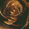 Golden Rose Rain Drops Diamond Paintings