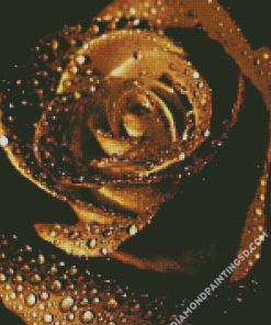 Golden Rose Rain Drops Diamond Paintings