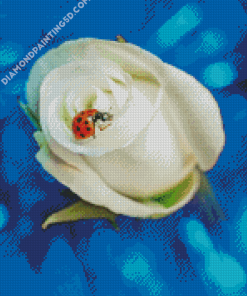 Ladybug On White Rose Diamond Paintings