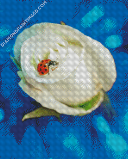 Ladybug On White Rose Diamond Paintings