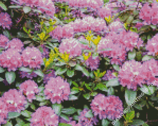 Purple Rhododendron Diamond Paintings