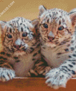 Snow Leopard Cubs Diamond Paintings