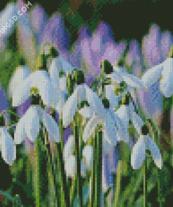 Snow Drops Plants Diamond Paintings