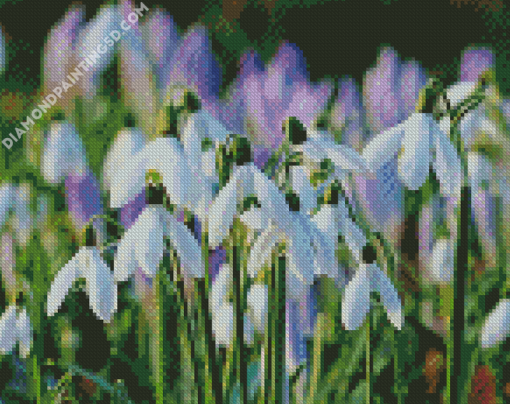 Snow Drops Plants Diamond Paintings