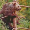 Bear On Tree Diamond Paintings