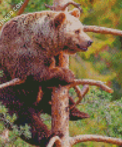 Bear On Tree Diamond Paintings