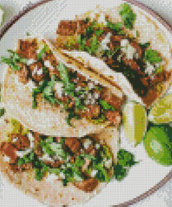 Carne Asada Tacos Diamond Paintings