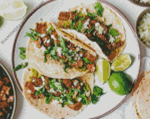 Carne Asada Tacos Diamond Paintings