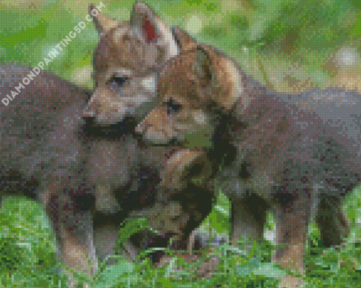 Wolf Cubs Diamond Paintings