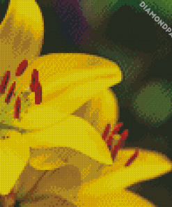 Yellow Lily Flowers Diamond Paintings