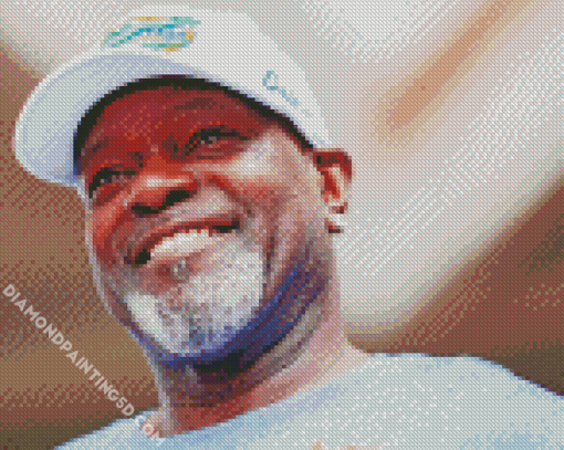 Aesthetic Emmitt Smith Diamond Paintings