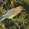 Aesthetic Cedar Tree With Bird Diamond Paintings