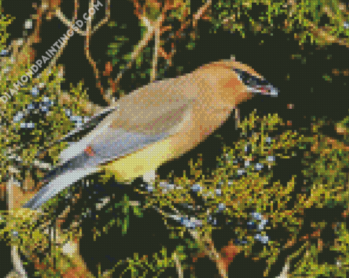 Aesthetic Cedar Tree With Bird Diamond Paintings