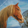 Brown Cob Horse Head Diamond Paintings