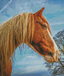 Brown Cob Horse Head Diamond Paintings