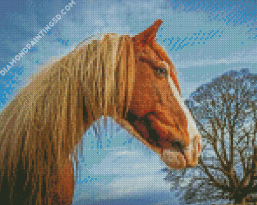 Brown Cob Horse Head Diamond Paintings