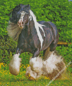 Cob Horse Animal Diamond Paintings