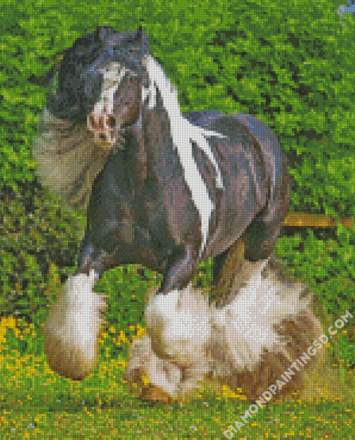 Cob Horse Animal Diamond Paintings