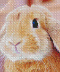 Cute Brown Female Bunny Diamond Paintings