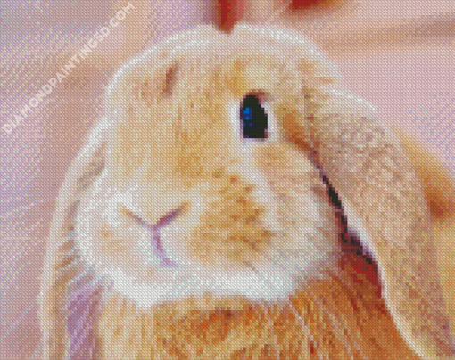 Cute Brown Female Bunny Diamond Paintings