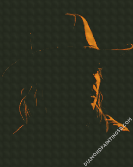 Girl With Cowboy Hat Silhouette Diamond Paintings