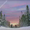 Newfoundland Skiing Sunset Diamond Paintings