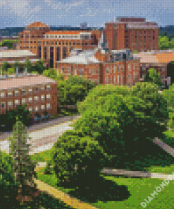 Purdue University Diamond Paintings