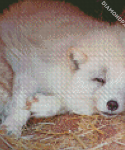 Sleepy Wolf Cubs Diamond Paintings