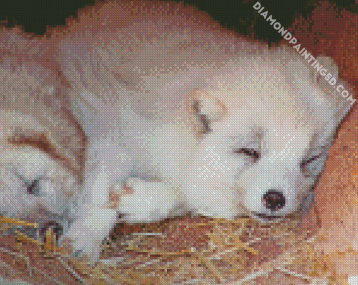 Sleepy Wolf Cubs Diamond Paintings