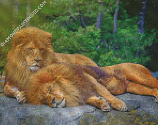 Two Lions Diamond Paintings