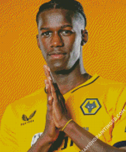 Willy Boly Wolves Player Diamond Paintings