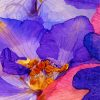 Abstract Flowers Diamond Paintings