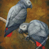 African Grey Parrots Diamond Paintings