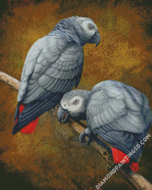 African Grey Parrots Diamond Paintings