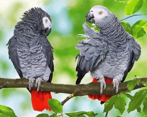 African Grey Parots On Stick Diamond Paintings