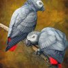 African Grey Parrots Diamond Paintings