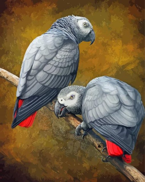 African Grey Parrots Diamond Paintings