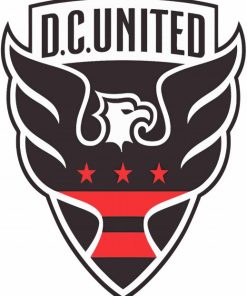 DC United Diamond Paintings