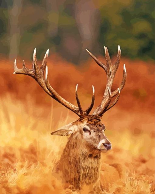 Deer Antlers Close Up Diamond Paintings