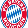 FC Bayern Diamond Paintings