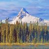 Forest Mount Washington Diamond Paintings