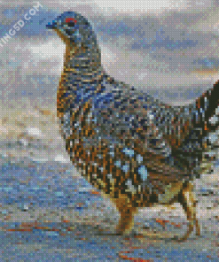 Grouse Bird Diamond Paintings