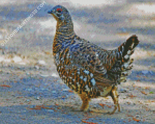 Grouse Bird Diamond Paintings