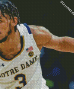 Basketballer Notre Dame Fighting Irish Diamond Paintings