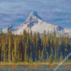 Forest Mount Washington Diamond Paintings