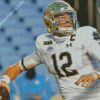 Notre Dame Fighting Irish Team Diamond Paintings