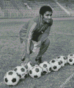 Black And White Eusebio Da Silva Diamond Paintings