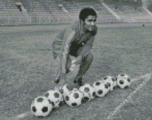 Black And White Eusebio Da Silva Diamond Paintings