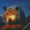 Man And Tiger In Night Diamond Paintings