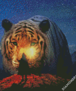 Man And Tiger In Night Diamond Paintings